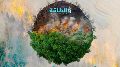 Photo of حرائق الغابات.. 3 بلدان عربية ضمن قائمة الدول المهددة في 2024 (صور وفيديو)