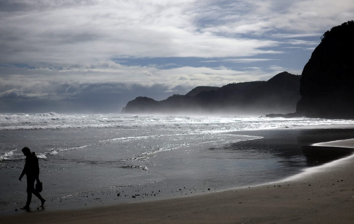 أحد سواحل أوكلاند النيوزيلندية