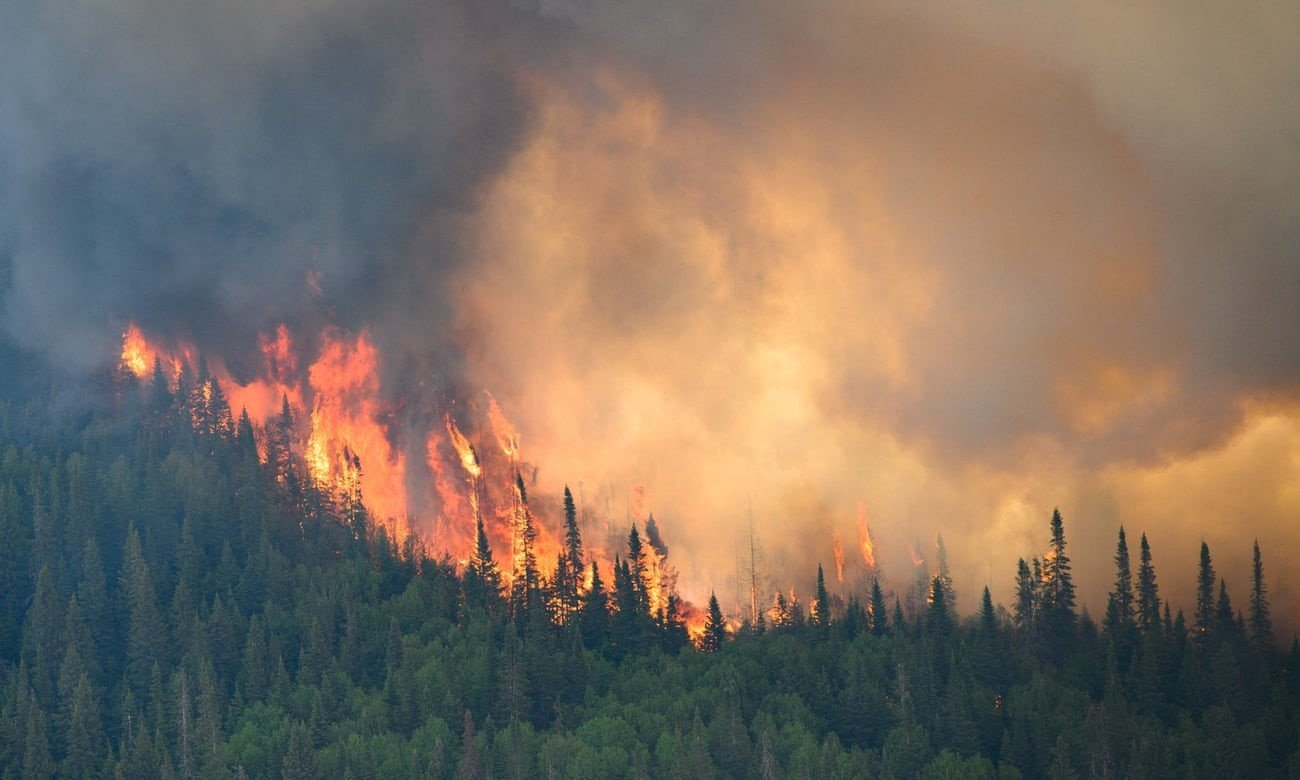 حرائق الغابات الكندية