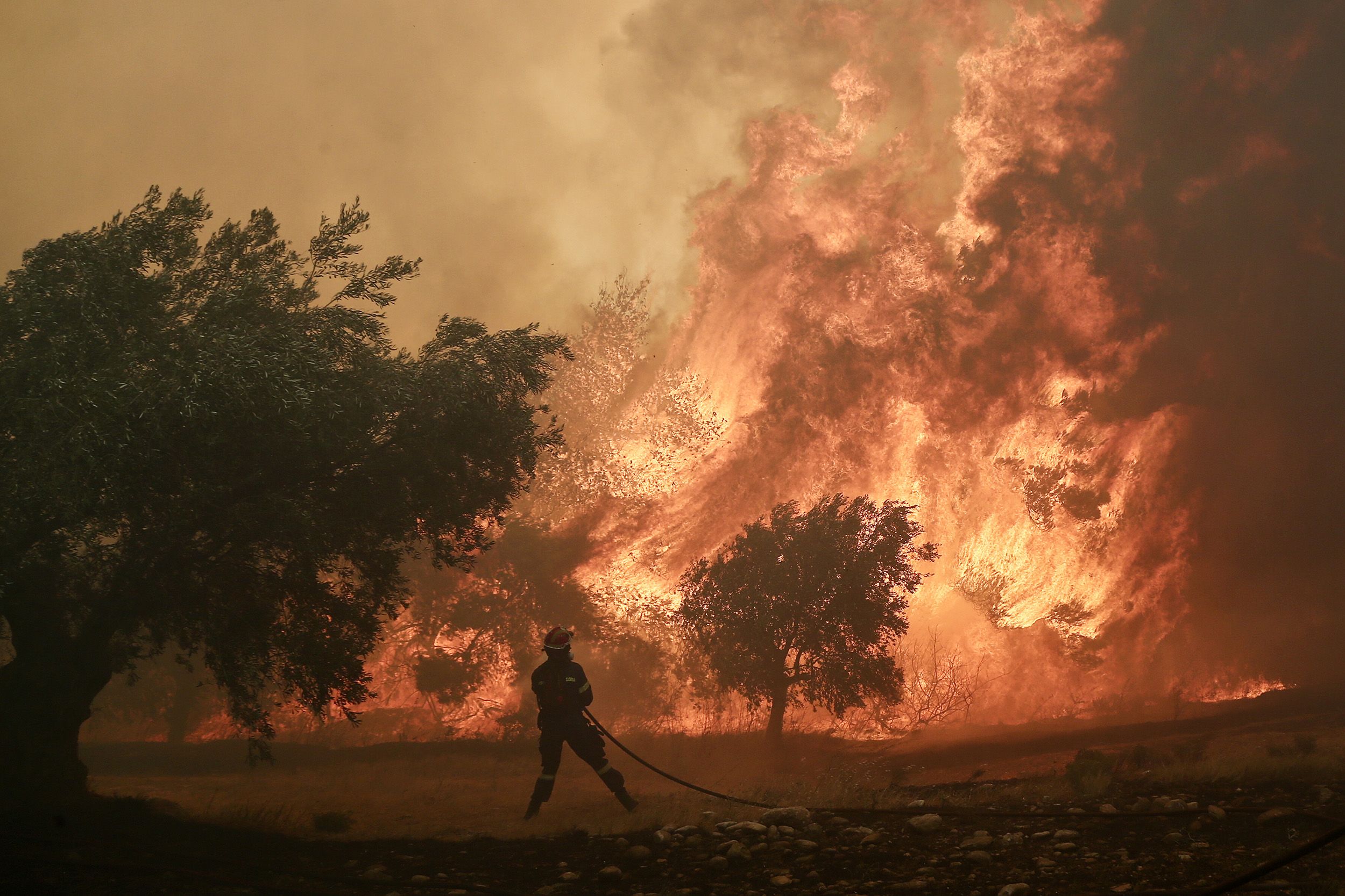 حرائق الغابات في اليونان 