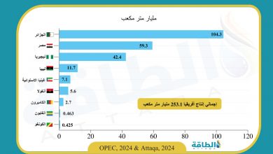 Photo of أكبر الدول الأفريقية المنتجة للغاز الطبيعي في 2023.. الجزائر ومصر بالصدارة (إنفوغرافيك)