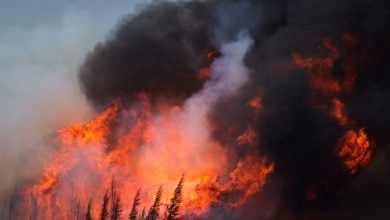 Photo of حرائق الغابات في ألبرتا الكندية قد تشعل أسعار النفط العالمية (فيديو)