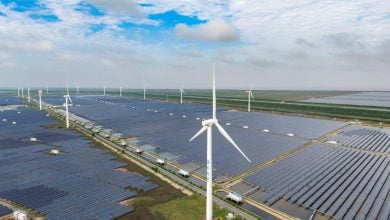 Photo of الصين تحتضن ثلثي محطات الطاقة المتجددة قيد الإنشاء في العالم