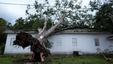 Photo of إعصار بيريل يقطع الكهرباء عن مليوني منزل وشركة في هيوستن