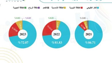 Photo of مزيج توليد الكهرباء في الإمارات.. تغير لافت تقوده الطاقة النووية (إنفوغرافيك)