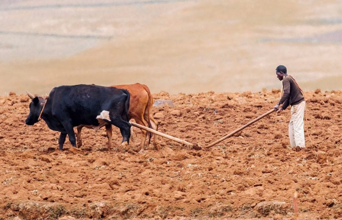 تأثير تغير المناخ على قارة أفريقيا