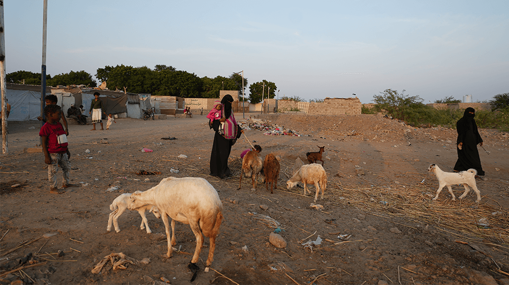 اليمن يعاني من آثار تغير المناخ