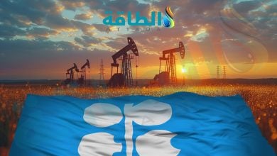 Photo of أكبر 8 حقول نفطية في دول أوبك.. السعودية والجزائر بالقائمة (مسح)