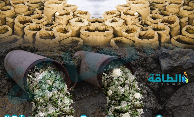 Photo of إعادة تدوير حمأة الصرف الصحي لإنتاج الأسمدة في مصر.. الجدوى الاقتصادية والبيئية