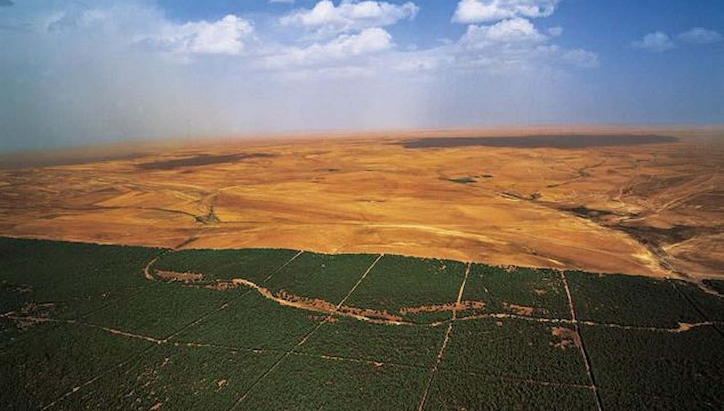 أعمال تشجير في الجزائر