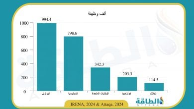 Photo of 5 دول تقود وظائف الوقود الحيوي في العالم