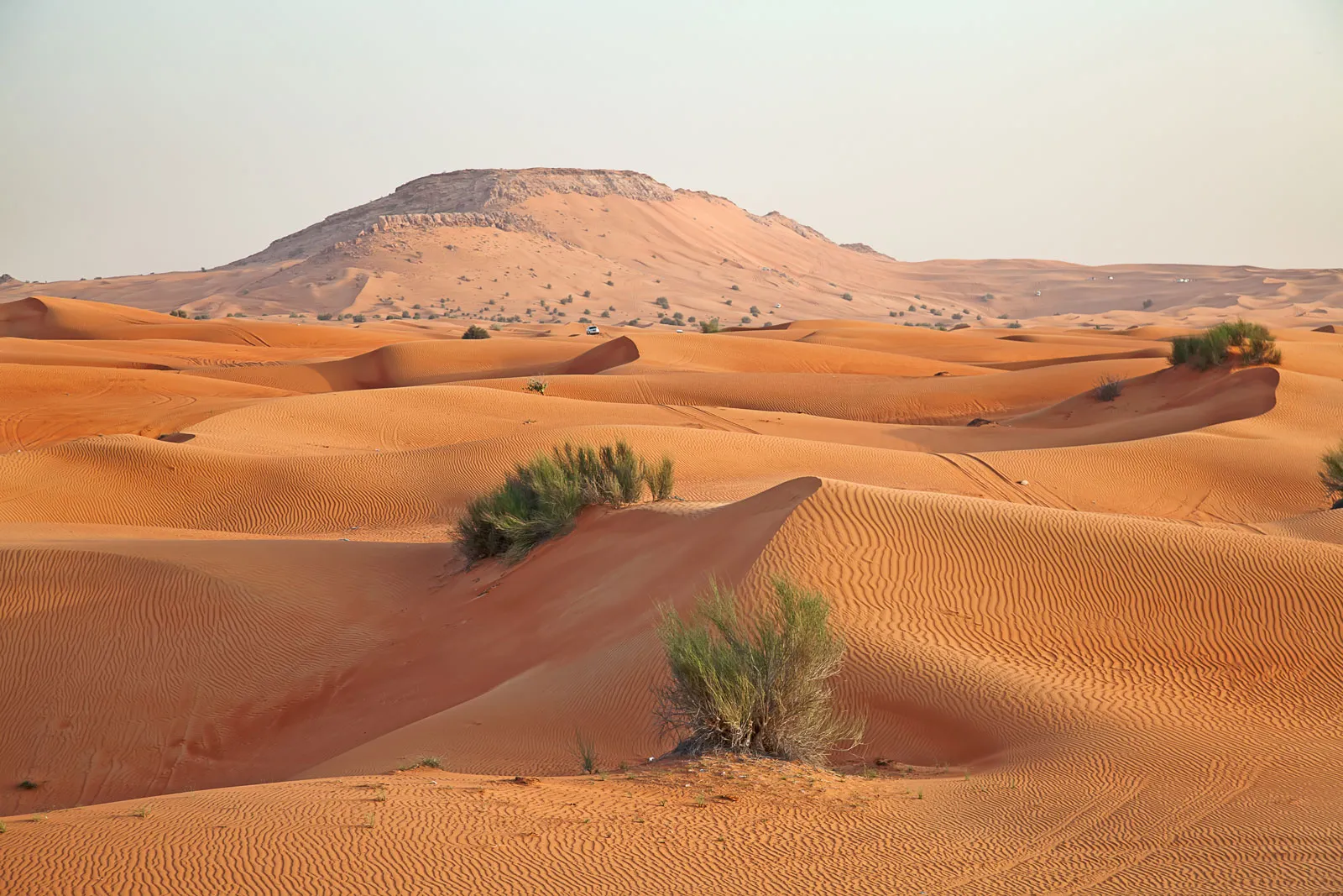 تغير المناخ في 2024