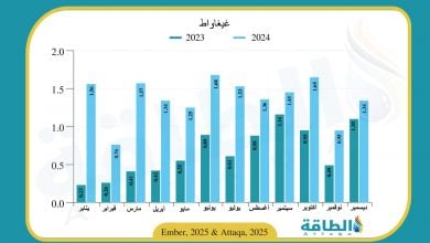 Photo of واردات السعودية من الألواح الشمسية الصينية تقفز 107%