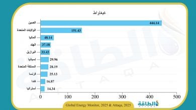 Photo of أكبر 10 دول في قدرة طاقة الرياح عالميًا حتى 2024 (إنفوغرافيك)