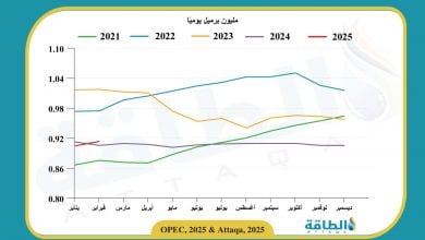 Photo of إنتاج الجزائر من النفط يرتفع إلى أعلى مستوى منذ 14 شهرًا