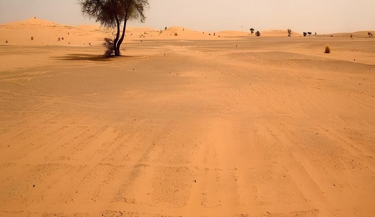 صحراء السماوة في العراق