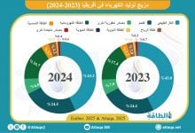 Photo of مزيج توليد الكهرباء في أفريقيا وأبرز التغيّرات بـ4 دول (رسومات بيانية)