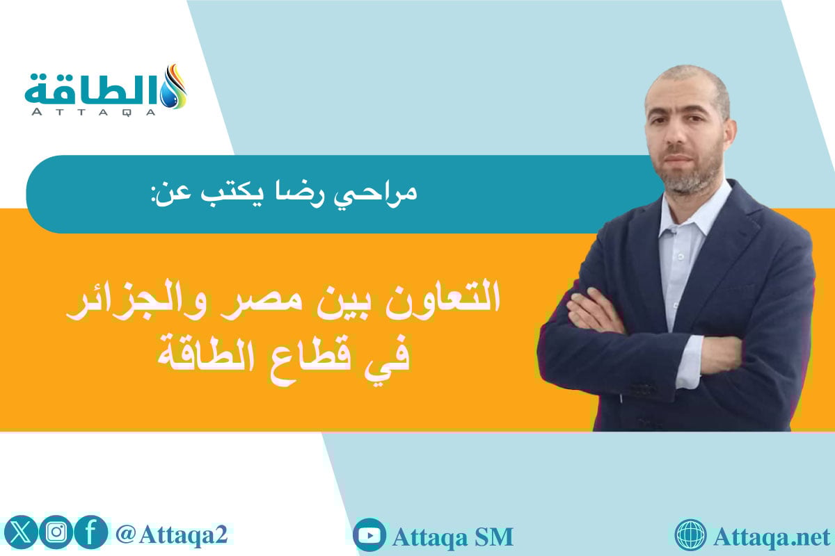 الشراكة الجزائرية المصرية