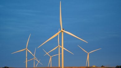 Photo of الطاقة المتجددة في أستراليا تحظى بتشجيع شركات صناعية كبرى.. ما القصة؟ (تقرير)