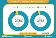 Photo of مزيج توليد الكهرباء في عمان خلال 2024.. حصة الغاز تهبط إلى أقل مستوى منذ 2006