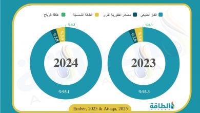 Photo of مزيج توليد الكهرباء في عمان خلال 2024.. حصة الغاز تهبط إلى أقل مستوى منذ 2006