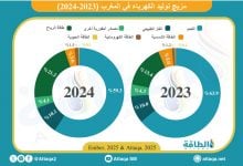 Photo of مزيج توليد الكهرباء في المغرب خلال 2024.. حصة الفحم تتراجع (إنفوغرافيك)