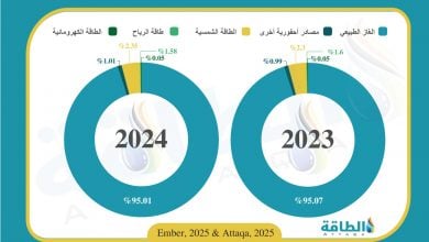 Photo of مزيج توليد الكهرباء في تونس خلال 2024.. الغاز الطبيعي يهيمن (إنفوغرافيك)
