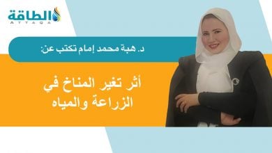 Photo of آثار تغير المناخ في أفريقيا.. تحديات وحلول (مقال)