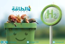 Photo of المعالجة البيولوجية للمخلفات.. حل بيئي مبتكر لخفض الانبعاثات وتوليد الكهرباء