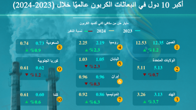 Photo of أكبر 10 دول في انبعاثات الكربون عام 2024.. دولة عربية ضمن القائمة (إنفوغرافيك)
