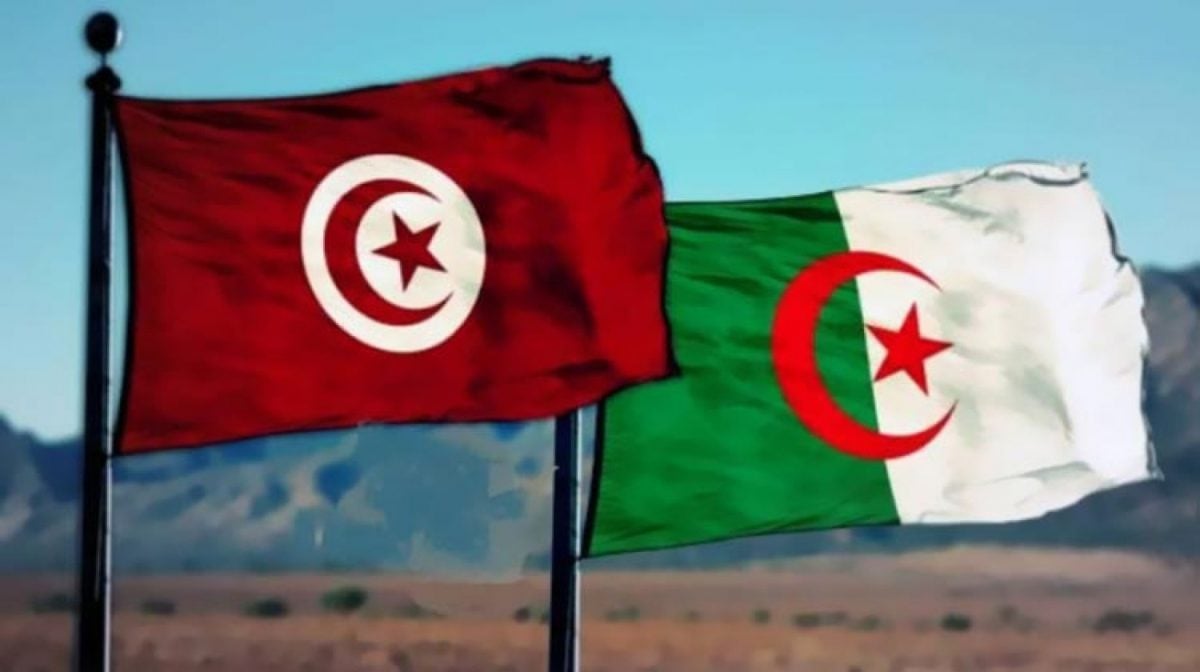 إنتاج الكهرباء في تونس