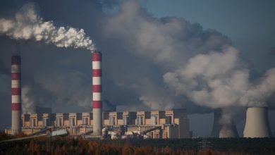Photo of خطط خفض الانبعاثات في أوروبا بحلول 2040 لن تتحقق دون دعم خارجي (تقرير)