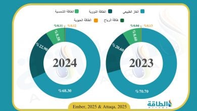 Photo of مزيج توليد الكهرباء في الإمارات خلال 2024 (إنفوغرافيك)
