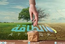 Photo of تأثير تغير المناخ في الأمن الغذائي بأفريقيا.. السيناريو المستقبلي لـ4 محاصيل