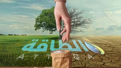Photo of تأثير تغير المناخ في الأمن الغذائي بأفريقيا.. السيناريو المستقبلي لـ4 محاصيل