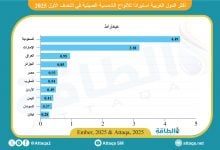 Photo of أكثر الدول العربية استيرادًا للألواح الشمسية الصينية.. قفزة في العراق والجزائر