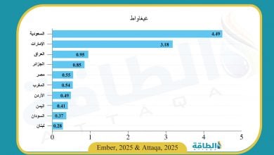 Photo of أكثر الدول العربية استيرادًا للألواح الشمسية الصينية.. قفزة في العراق والجزائر