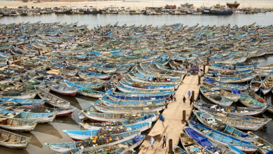 Photo of الطاقة المتجددة في موريتانيا.. الأسعار المعتدلة تنعش قطاع مصايد الأسماك (تقرير)