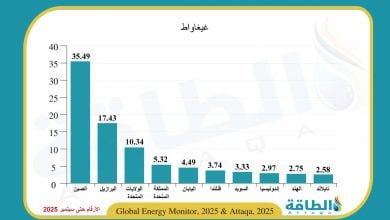 Photo of أكثر 10 دول توليدًا للكهرباء من الطاقة الحيوية (إنفوغرافيك)