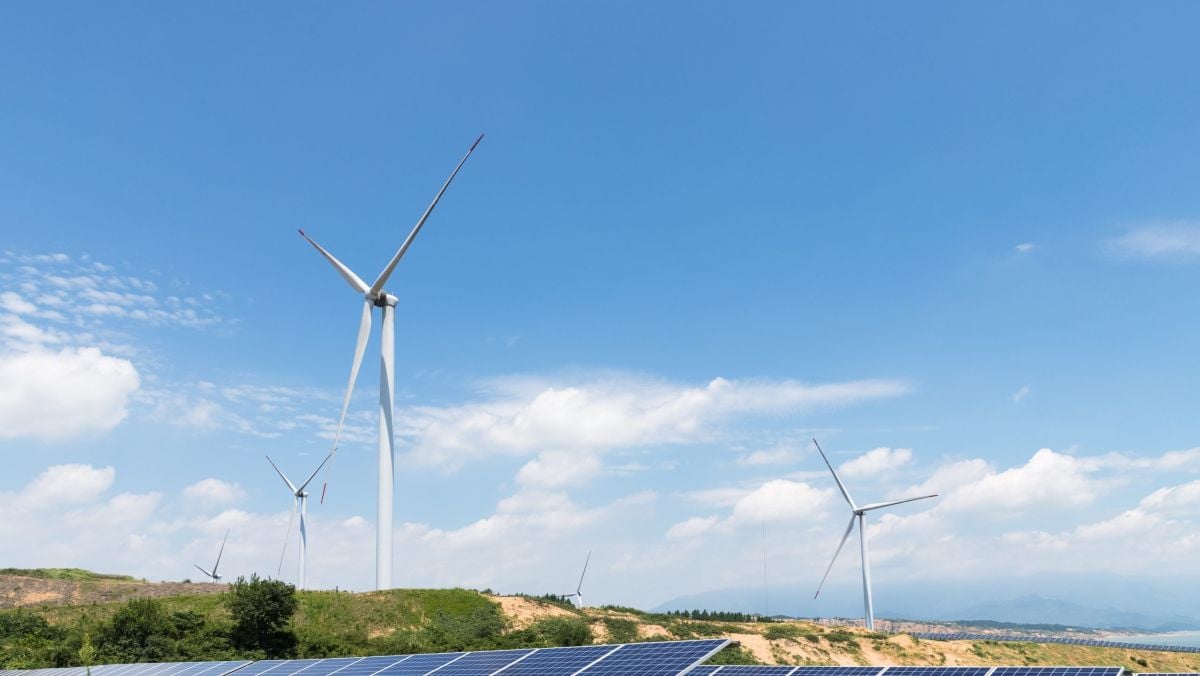 توربينات رياح تسهم في خفض تكلفة الكهرباء المتجددة