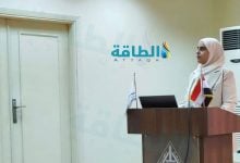 Photo of شبكات الكهرباء في مواجهة ضغط السيارات الكهربائية.. دراسة مصرية تقدم الحل