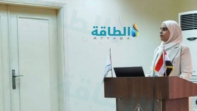 Photo of شبكات الكهرباء في مواجهة ضغط السيارات الكهربائية.. دراسة مصرية تقدم الحل