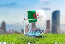 Photo of أكبر صفقات الطاقة المتجددة في الجزائر خلال 2025.. مشروعات ضخمة (تقرير)