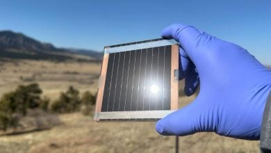 Photo of طبقة عازلة تحسّن أداء الخلايا الشمسية.. بكفاءة طاقة تصل إلى 26%