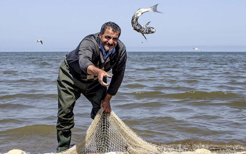 صيد الأسماك على شاطئ بحر قزوين