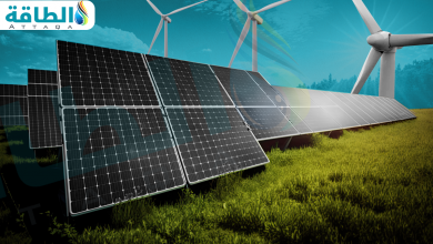 Photo of الموازنة بين الطاقة المتجددة والطبيعة معادلة صعبة.. كيف يصحح قادة الشركات المسار؟