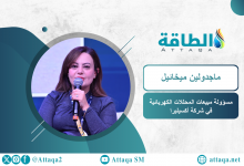 Photo of سوق الهيدروجين الأخضر ليست في انتكاسة.. و5 دول عربية تملك مفاتيح الريادة (حوار)