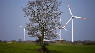 Photo of الطاقة المتجددة في إيطاليا تترقب نموًا رغم ضعف البنية التحتية للشبكة (تقرير)