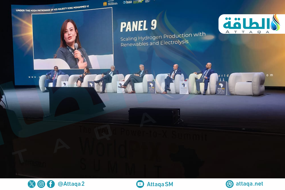 مسؤولة مبيعات المحللات الكهربائية في شركة "أكسيليرا باي كومينز" ماجدولين ميخائيل في أثناء الجلسة