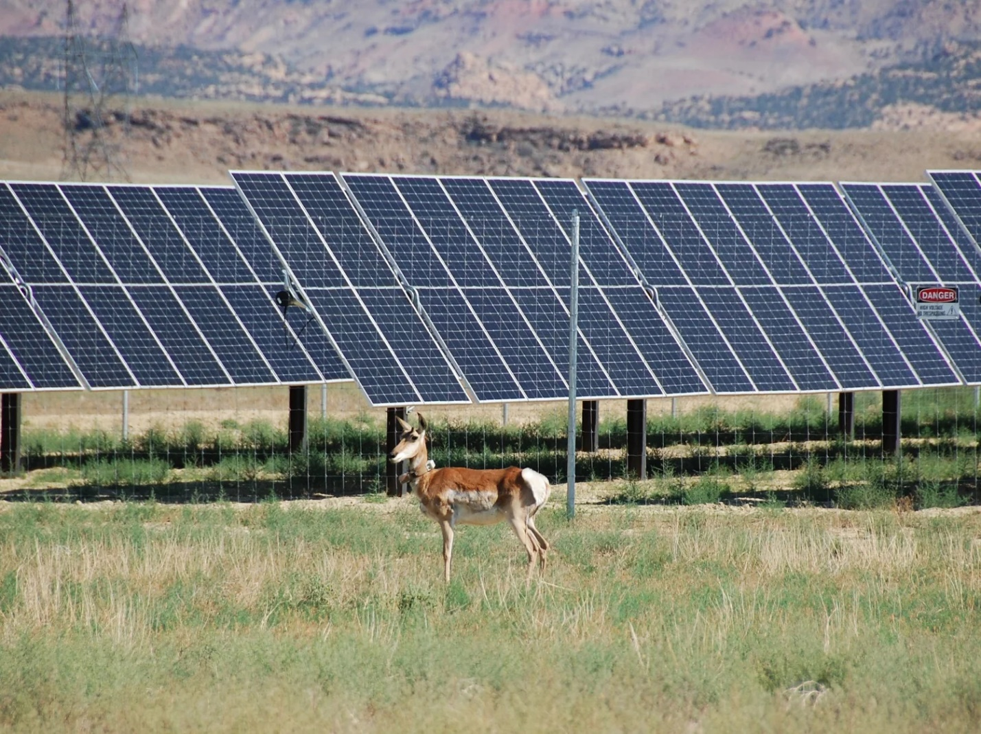 شركات الطاقة المتجددة